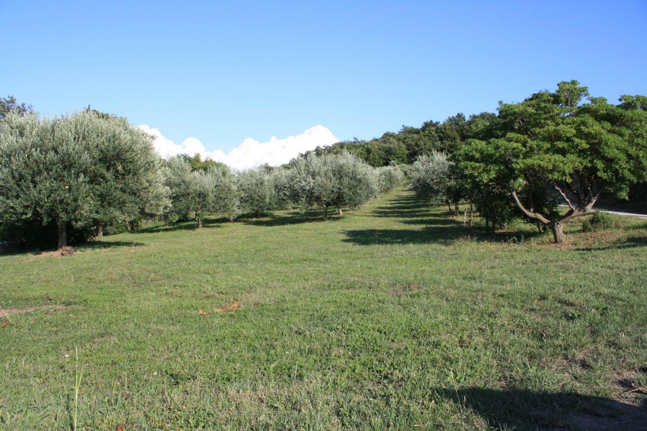 Apartments Villa Sandi Izola Zewnętrze zdjęcie
